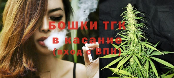 прущие грибы Балахна