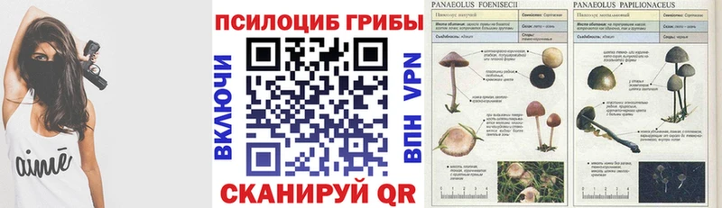 hydra tor  Ступино  Псилоцибиновые грибы Magic Shrooms 