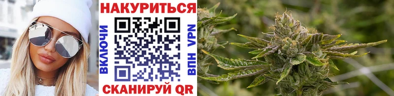 Каннабис сатива  купить  сайты  Ступино 